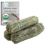USDA Organic Copal Sage Smudge Sticks Pack of 3 Bundles & Smudge Guide for Smudging, Home Cleansing, Meditation, Purification (Essential Sages, Copal Sage)