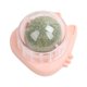thumbnail image 2 of Con Hierba Gatera Comida Natural Saludable para Gatos Comestible Bocadillos Menta () Rosa, 2 of 5