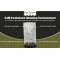 thumbnail image 6 of Mushroom Grow Kit (Quick Kit), 6 of 11