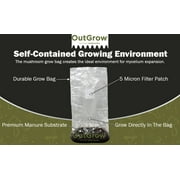 Mushroom Grow Kit (Quick Kit)