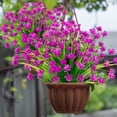 thumbnail image 3 of ZOELNIC 8 Bundles Artificial Flowers Outdoor, Plastic Faux Flowers Plants UV Resistant Greenery Plants Artificial Fake Plants Indoor Outside Home Garden Spring Summer Decor(Fuchsia）, 3 of 6