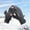 d-Grey, variant on TIANZEN All Season Thermal Touchscreen For And Windproof Skiing Hiking Outdoor Activities With Insulated Warmth And Grip Women Gloves Gloves Mittens Women
