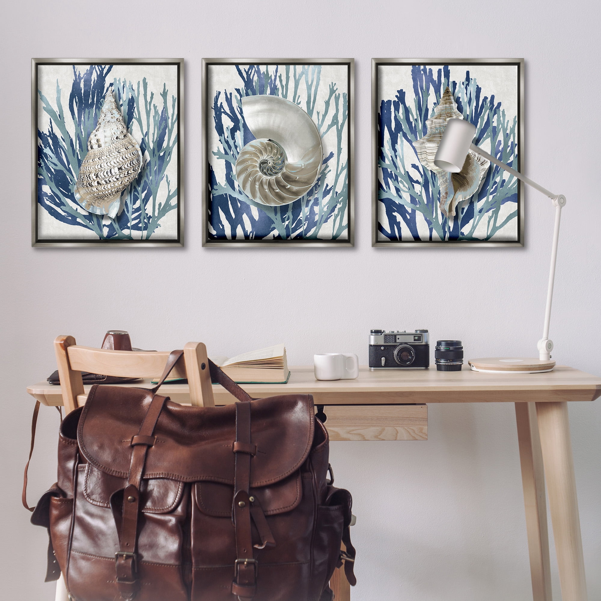 Stupell Industries Trio of Shells & Coral Nature Painting Gray Floater Framed Canvas Art Print Wall Art, 25 x 31, Set of 3