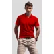 thumbnail image 1 of Playera Tipo Polo Deportiva Adulto 100%poliester Colores, 1 of 5