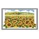 thumbnail image 5 of Kit de con de preimpreso - girasol para niños, adultos, principiantes (incluye instrucciones en inglés), 5 of 9