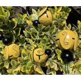 thumbnail image 5 of Decoración de abeja de Metal YONGSHENG Juego de 4 Adorno de pared de abeja de miel 3D, 5 of 5