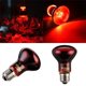 thumbnail image 2 of 1Pc E27 LED Red Reptile Night Light UVA Infrared Heat Lamp Bulb for Snake Lizard Reptile 220-240V 60W 75W 100W for Amphibian He Qiyong unisex, 2 of 2