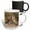 Multicolor, variant on 3drose, Florida, Fort Myers. Burrowing Owl Pair - Na02 Cad0034 - Claudia Adams, 11oz Magic Transforming Mug