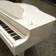 thumbnail image 4 of WHAMVOX Gancho Para Piano De Metal Plata Compatible Con Varias Marcas Para Reparación Y Soporte Duradero, 4 of 8