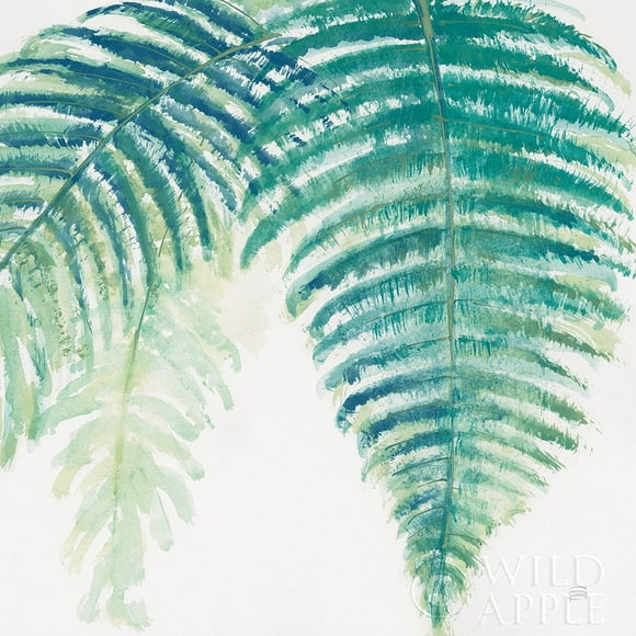 Ferns III Square Cool Poster Print by Chris Paschke (18 x 18) # 59774