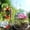 1 Pcs, variant on DAMAI Plant Bell Cover Garden Accessory with Plant Humidity Dome, Nursery Cover Plants Covers for Covering Protectors Humidity Cloche Seedling Protector Grow Dome Garden Tree Guard Protector Plastic