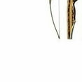 thumbnail image 2 of Scorpion Longbow by Southwest Archery USA |LIMITED TIME SALE| available with ..., 2 of 10