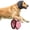 Pink, variant on Dog Ear Muffs, Noise Cancelling Ear Wrap, Adjustable Comfortable Calming Hoodie for Dogs, Ideal for Grooming, Bathing & Swimming