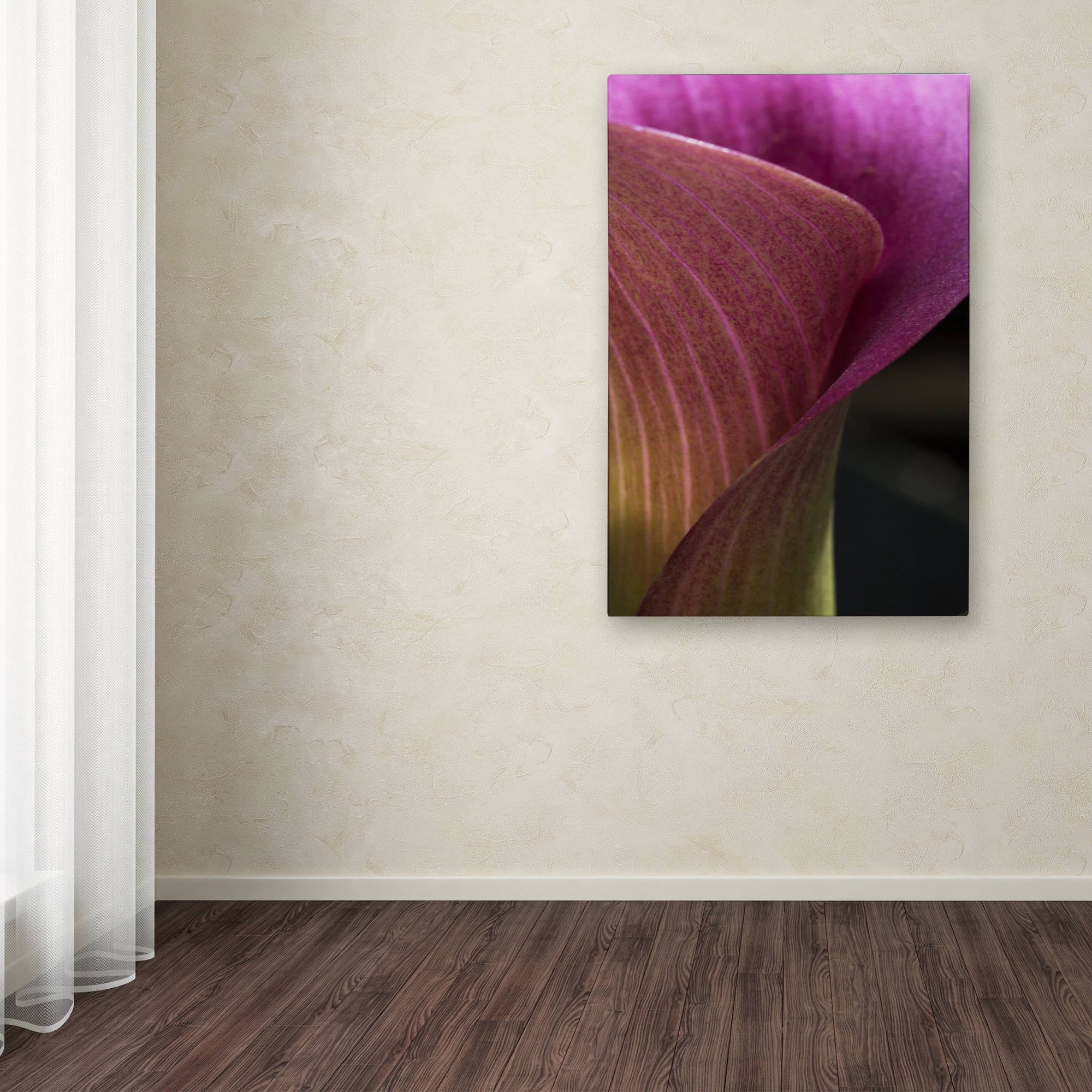 Trademark Fine Art "Part of a Calla Lily" Canvas Art by Kurt Shaffer