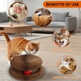 thumbnail image 4 of Tabla de rascar para gatos MoeQoassis, órgano mágico con bola, 4 of 8