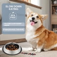 thumbnail image 2 of Unique Bargains Slow Feeder Dog Bowls Stainless Steel Dog Slow Feeder Bowl with Silicone Insert Dog Slow Feeder Bowl Food Bowl for Small Medium Large Dogs Black, 2 of 7