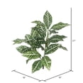 thumbnail image 2 of Vickerman 27" Artificial Green and White Zebra Plant., 2 of 3