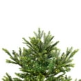 thumbnail image 5 of Northlight Real Touch™️ Pre-Lit Full Oregon Noble Fir Artificial Christmas Tree - 6.5' - Warm White, 5 of 9