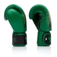 thumbnail image 4 of Guantes de boxeo Fairtex Resurrection Premium Muay Thai 283 g, 4 of 6