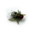 thumbnail image 5 of 100 Pcs Fake Flies Plastic Halloween Simulated Insect Fly Bugs Joke Toys Prank, 5 of 5