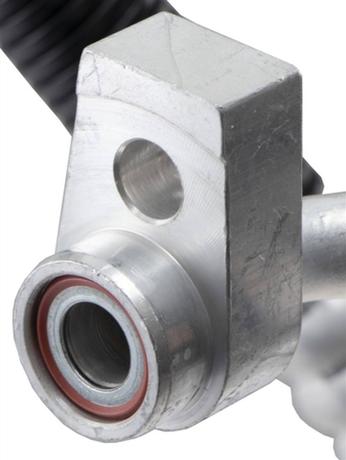 Discharge Line Hose Assembly