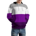 thumbnail image 5 of Asexual Pride Flag Men's Women New Sweatshirt Hoodie Men's Plus Size Sweatshirt Hooded Sweatshirt 3d Printed Street Men's Cloth, 5 of 6