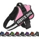 thumbnail image 2 of Arnés para perros con nombre personalizado, arnés para perros bulldog francés, perros medianos y grandes, reflectante, ajustable, suministros para mascotas para caminar al aire libre, 2 of 5