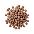 Food to Live Whole AIF4 Allspice Berries, 4 Ounces Pepper, Vegan