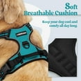 thumbnail image 3 of rabbitgoo Dog Harness, No-Pull Pet Harness with 2 Leash Clips, Adjustable Soft Padded Dog Vest, Reflective Outdoor Pet Oxford Vest with Easy Control Handle for Large Dogs, Teal, 3 of 10