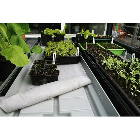 Systems Trading Corporation Grow Camp Trays, Pack of 2