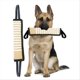 thumbnail image 3 of Interactive Tug Dog Toys Tough Interactive Dog Training Pull Tug Toy, 3 of 5