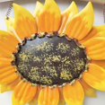 thumbnail image 1 of 2023 Hot Metal Sunflower Welcome Sign for Front Door, Kitchen, Porch Decorations, 31*27cm, 1 of 5
