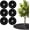 L, variant on 6 Pack Tree Rings, Round Tree Mulch Ring with Pre-Cut Hole, Heavy Duty Non-Woven Weed Barrier for Garden, Lawn, and Landscaping, L