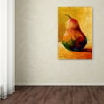thumbnail image 3 of Trademark Fine Art 'Pear VII' Canvas Art by Marion Rose, 3 of 3