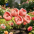thumbnail image 5 of Tulip Shape Bird Bath Decorative Outdoor Garden Pollinator Water Station, Floral Bird Drinking Basin for Backyard Patio Balcony, 5 of 5