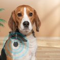 thumbnail image 1 of Pet Loss Locator Device Tracking For Dogs Cats Indoor Outdoor Lightweight Durable ABS, 1 of 5