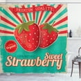 thumbnail image 1 of Ambesonne Fruit Shower Curtain, Retro Poster Strawberries, 69"Wx75"L, Multicolor, 1 of 3