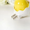 thumbnail image 5 of Chicken Nightlight with Light Sensor LED Low Cost Energy Wall Plug in Lamp Decoration Soft Light Home NL-5, 5 of 7