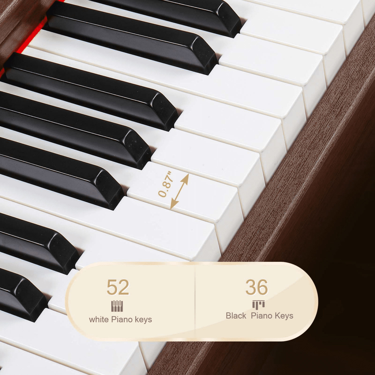 Hassch Digital Piano Keyboard with Stand for Beginners, 88 Key Full Size Weighted Electric Piano with Power Adapter, Music Clip, Triple Pedals and Headphone, Walnut