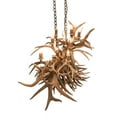 thumbnail image 4 of Meyda Tiffany 251967 Long Antlers 10 Light 55" Wide Antler Linear Chandelier - Copper, 4 of 6