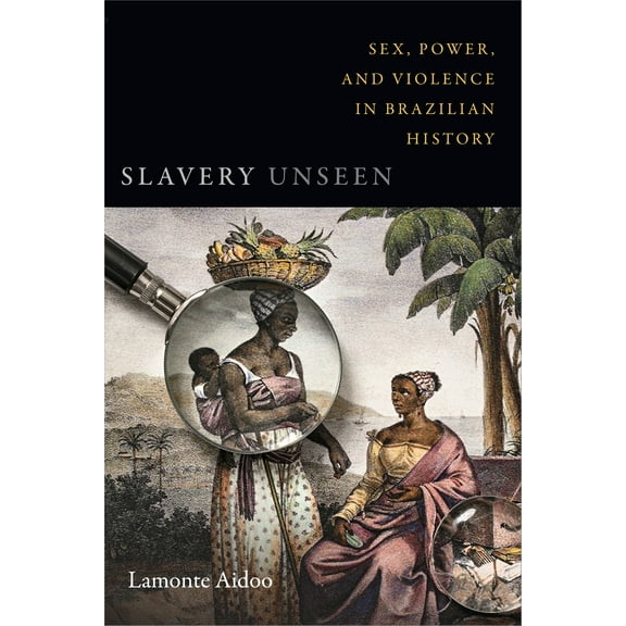 Latin America Otherwise: Slavery Unseen : Sex, Power, and Violence in Brazilian History (Paperback)