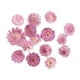thumbnail image 1 of Paquete de 10 Hojas Secas Prensadas Sunnimix para Tarjetas de Marcapáginas de Manualidades DIY 5 piezas, 1 of 8