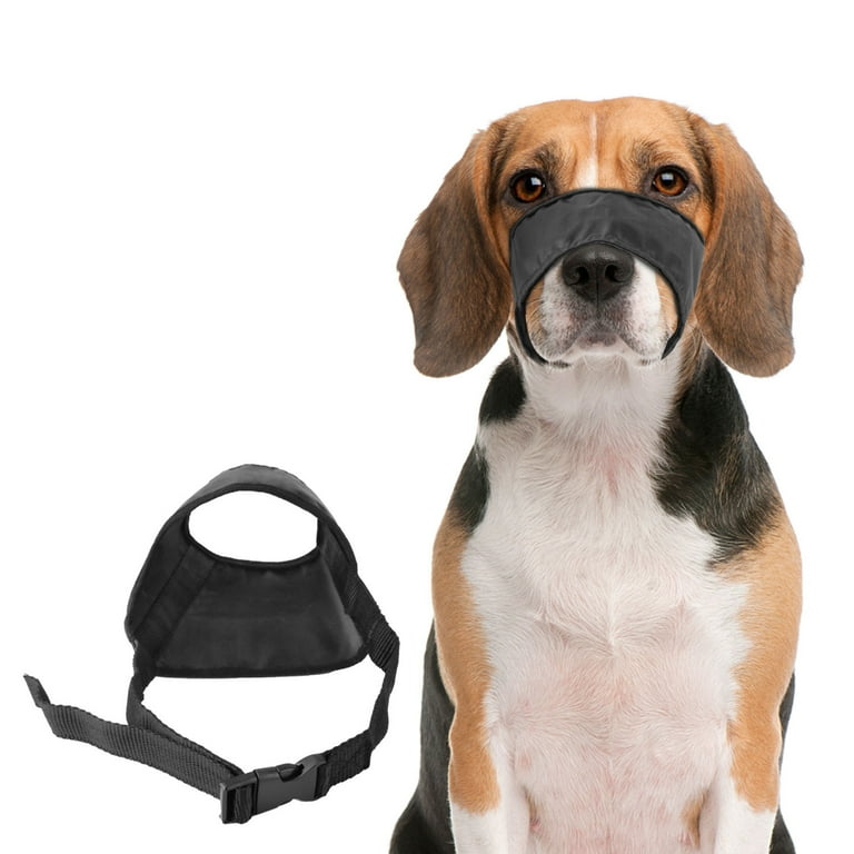 Dog muzzle to cheap stop licking