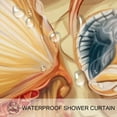 thumbnail image 3 of Shell Waterproof Printed Shower Curtain Set with Hooks - Bathroom Decoration, 3 of 5
