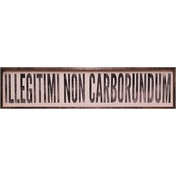 Nufar Vintage Primitive Funny Decor Illegitimi Non Carborundum Don't Let The Bastards Get You Down Kitchen Farmhouse Rustic Wood Sign 4x16 Inch, CQQ-A12.jpg