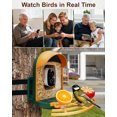 thumbnail image 4 of Smart Bird Feeder with Camera, Solar Powered Wireless Birds 2K HD Camera with APP Control, Night Vision, Motion Detection Alerts, IP66 Outdoor Birdfeeder for Backyard Garden Bird Watching, Green, 4 of 7