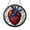Acrylic 3.5 Inch, variant on Vibrant Anatomical Heart Stained Glass Window Hanging, Medical-Themed Home Decor, Gift Idea for Students or Science Lovers