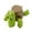 C, variant on Turtle Cup Holder Funny, Screaming Sea Turtle Coaster with Funny Expression & Moving Limbs, Turtle Coasters for Drinks, Gag Gift for Tortoise Lover