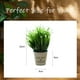thumbnail image 2 of Bola de césped Artificial, plantas verdes en maceta, flores falsas, decoración artificial creativa para el hogar, plantas verdes, 2 of 5