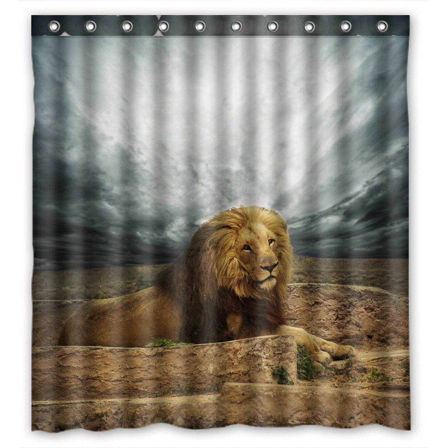 PHFZK Nature Landscape Shower Curtain, African Lion in the Desert